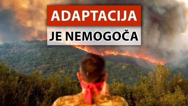 videoImg