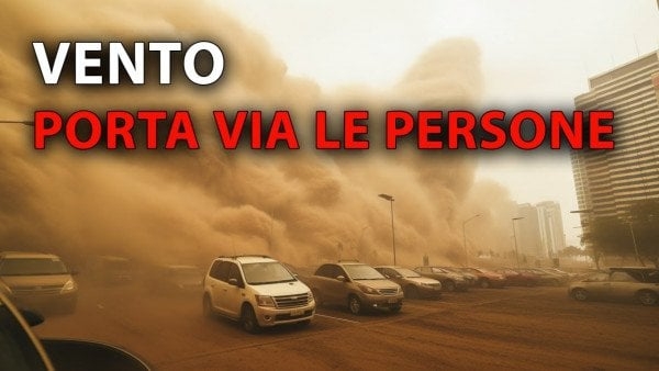 videoImg