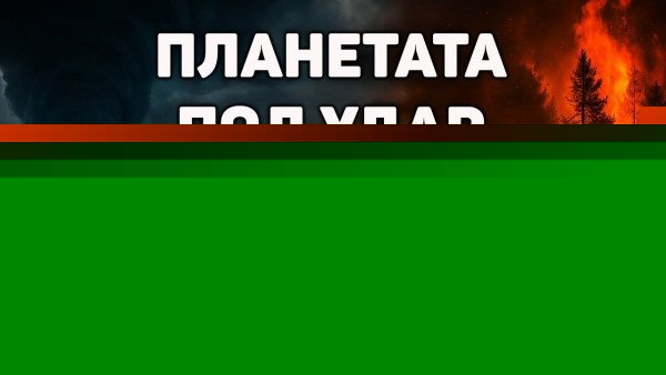 videoImg