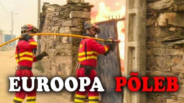 videoImg